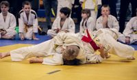 judo-4454835_960_720